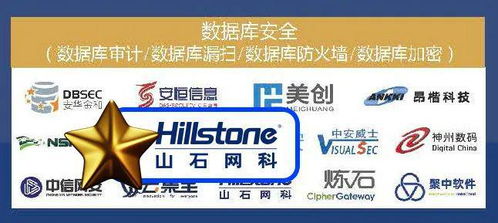 深度赋能 山石网科入围2024年中国金融行业网络安全市场全景图